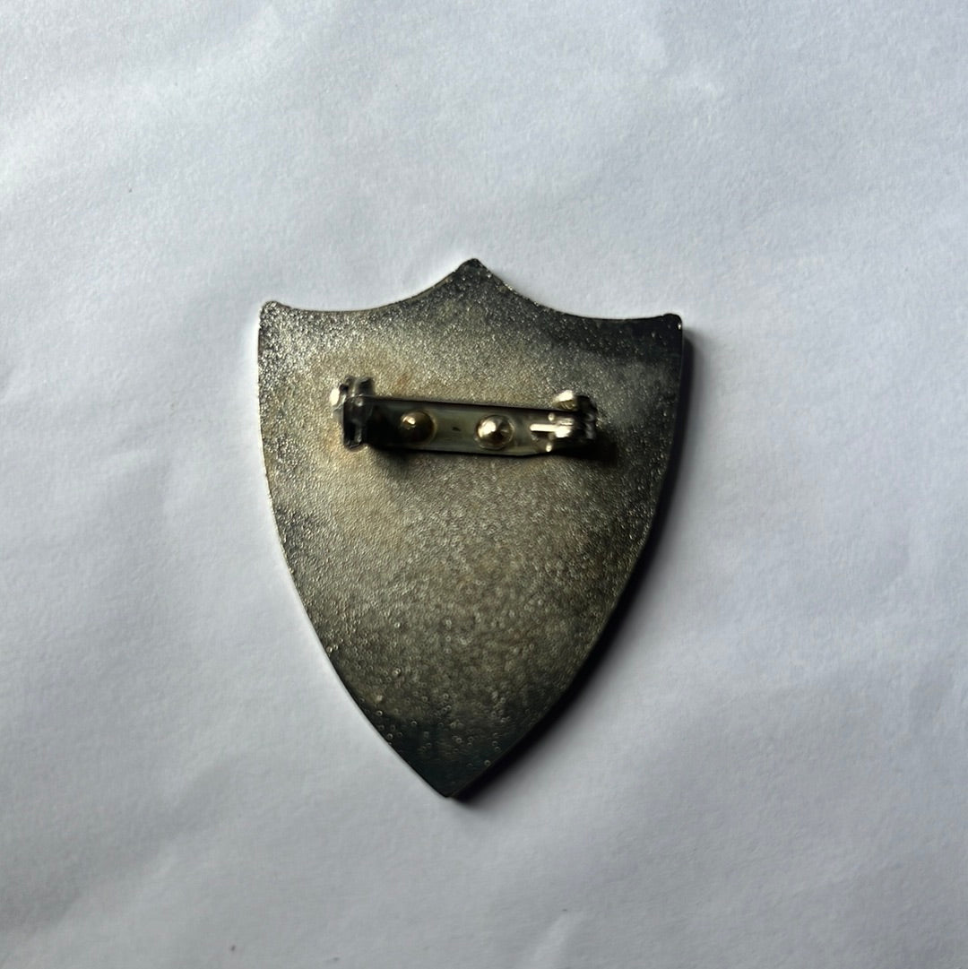 Insignia de la escuela de despedida de soltera