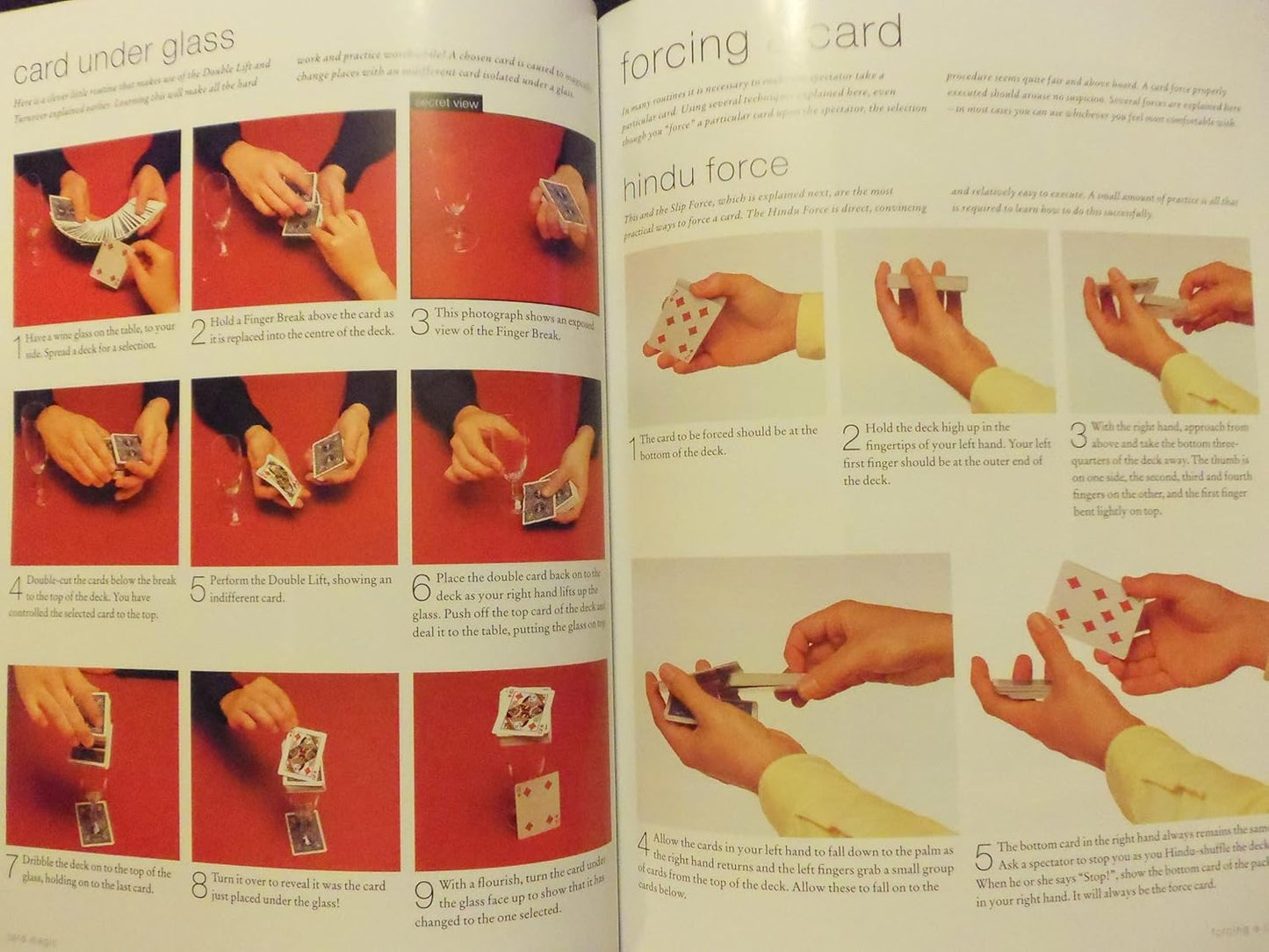 How to do magic tricks Book, by Nicholas Einhorn