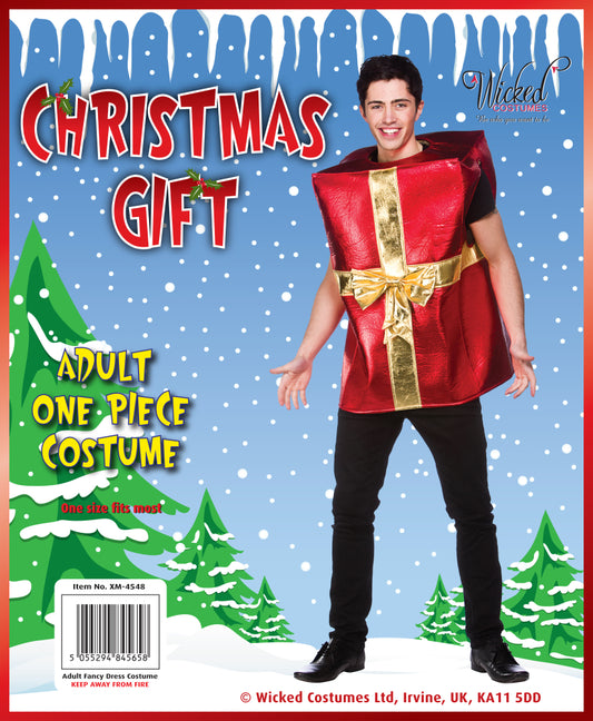 Christmas Gift Costume