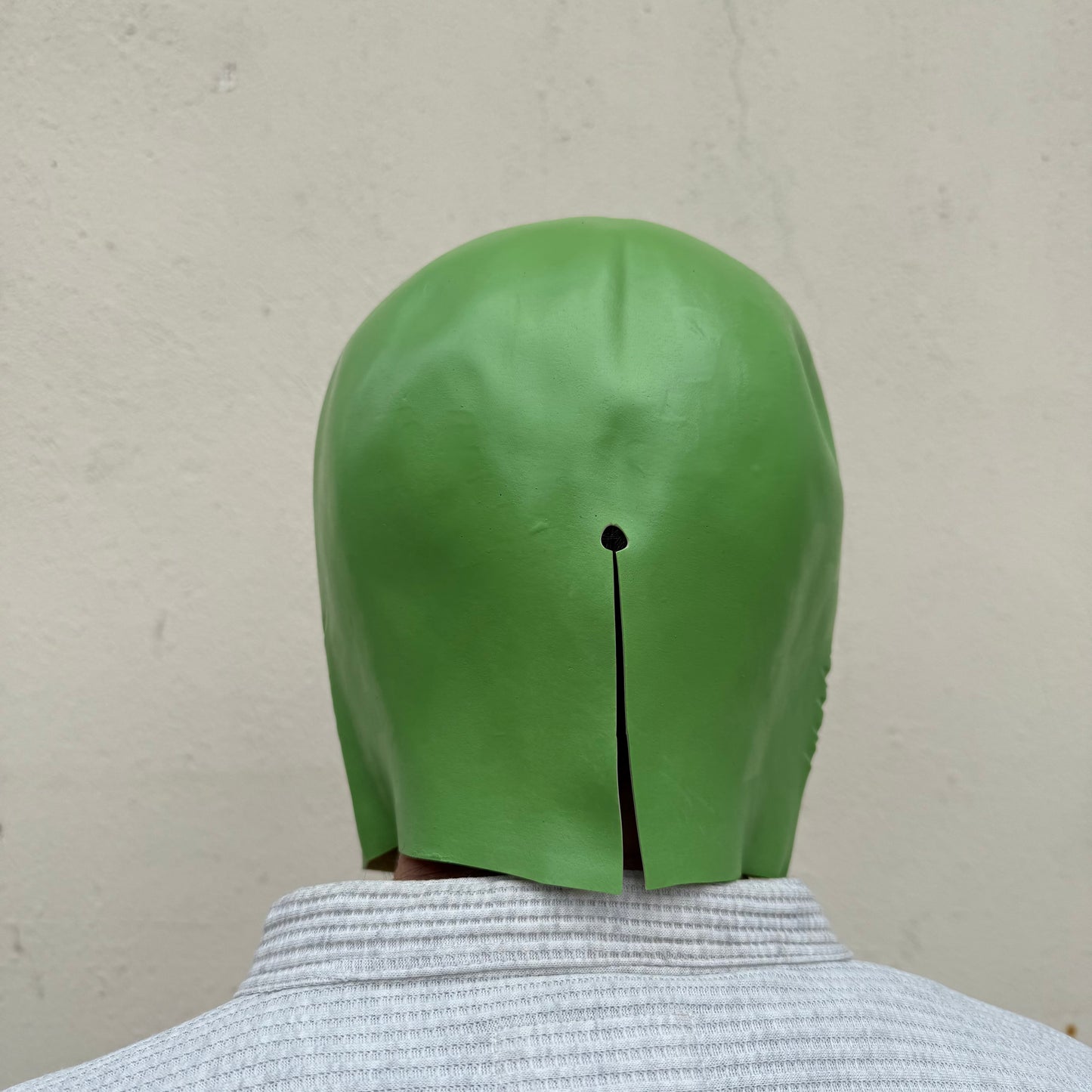 The Mask