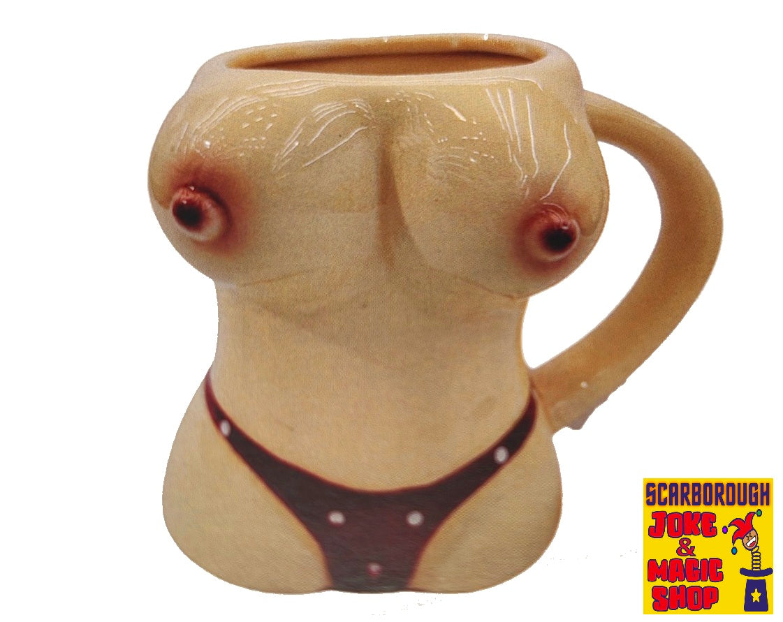 Keeping A Breast Boob Mug