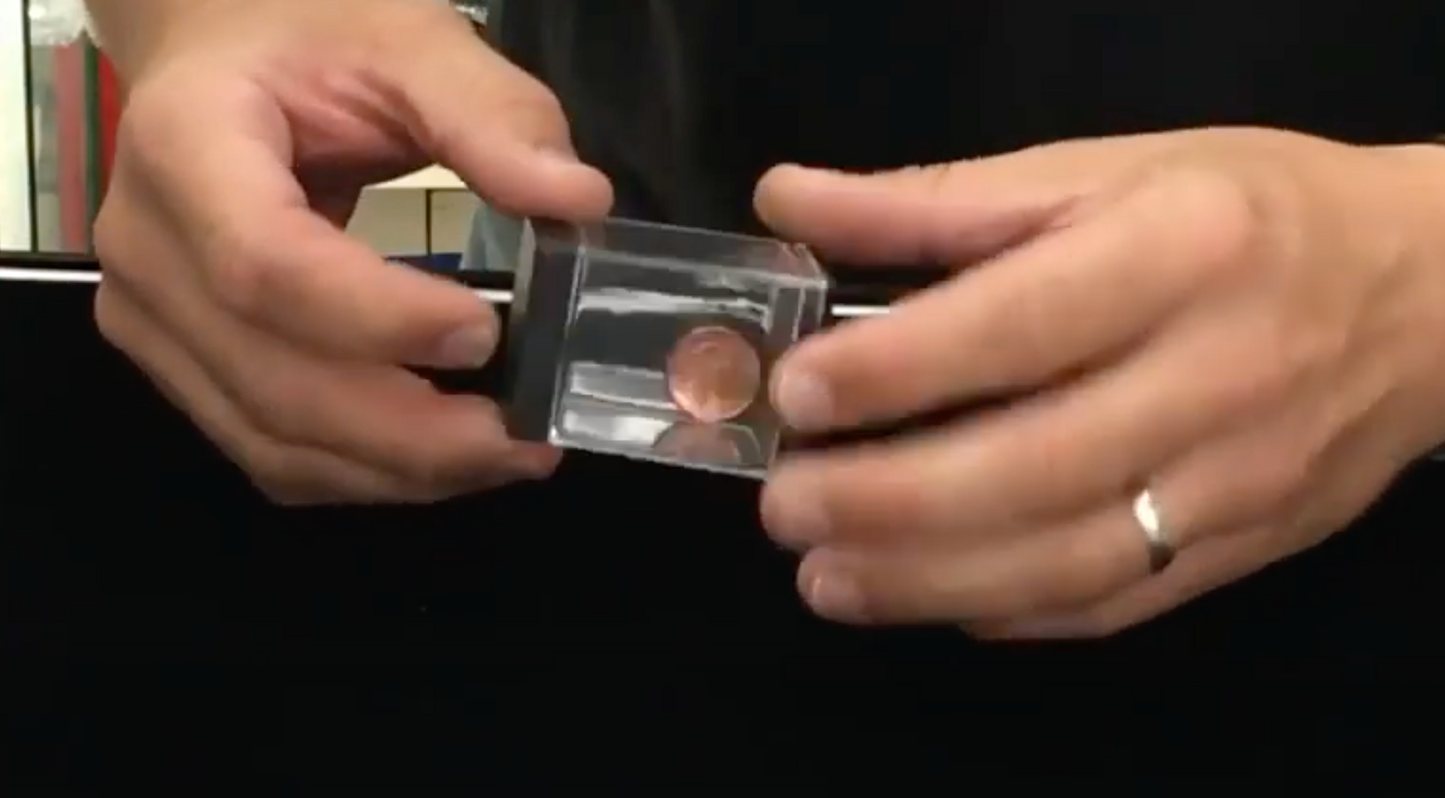 Caja de monedas que aparece