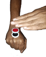 Chips Melt Thu de Adair