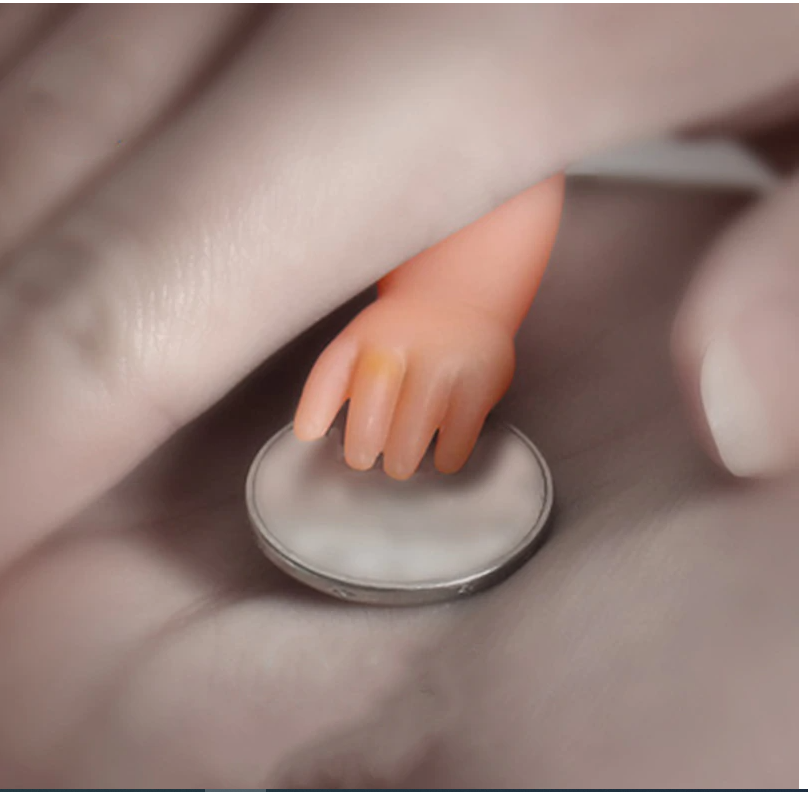 Manita - La mano del bebé