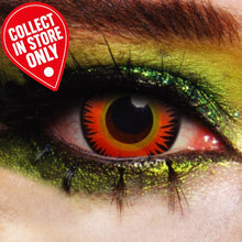 Orange Werewolf - 1 Day Lenses
