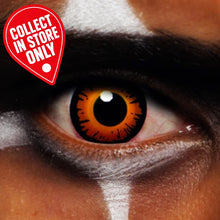 Twilight Bella - 1 Day Lenses