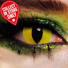 Wild Cat - 1 Day Lenses