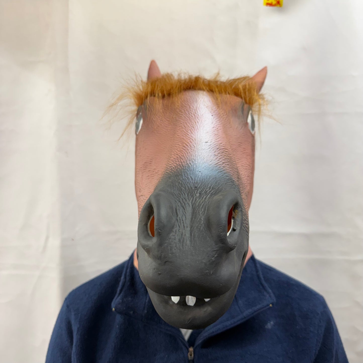 Horse Mask