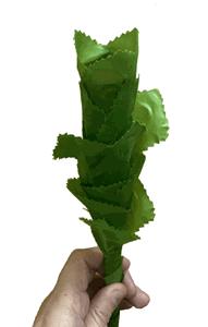 Blooming Carnation (Cloth) - The Scarborough Joke Shop