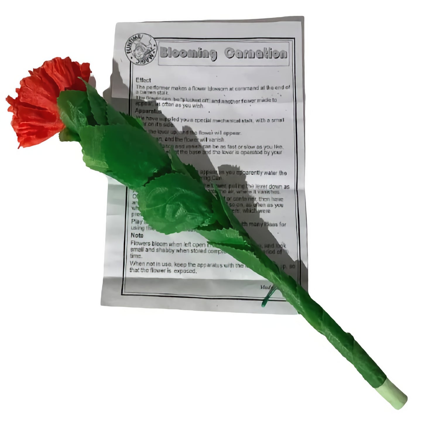 Clavel floreciente (tela)