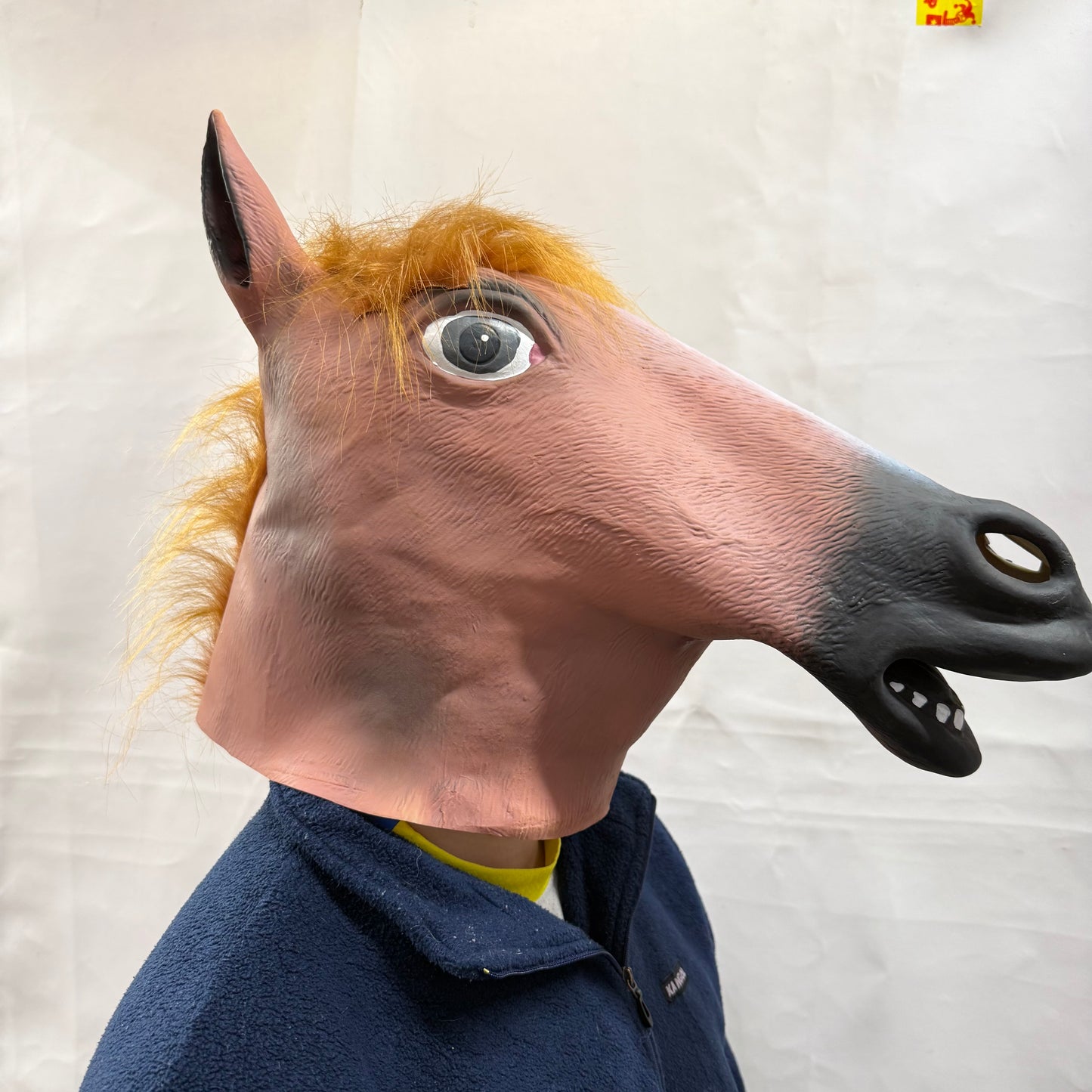 Horse Mask