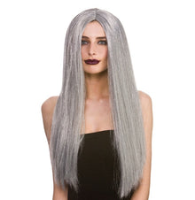 Classic Long Wig - Grey - The Scarborough Joke Shop