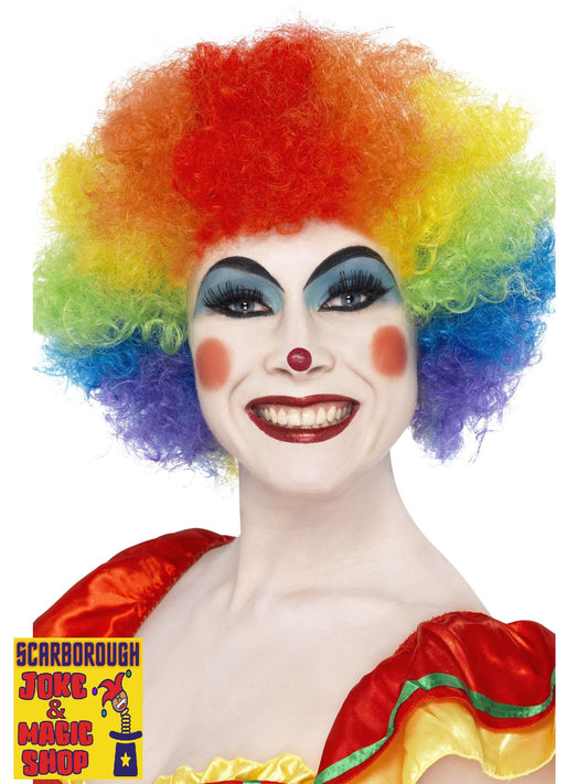 Clown Afro Pop Wig - Rainbow