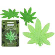 Grow Your Own Weed - Cannabis Joke - The Scarborough Joke Shop