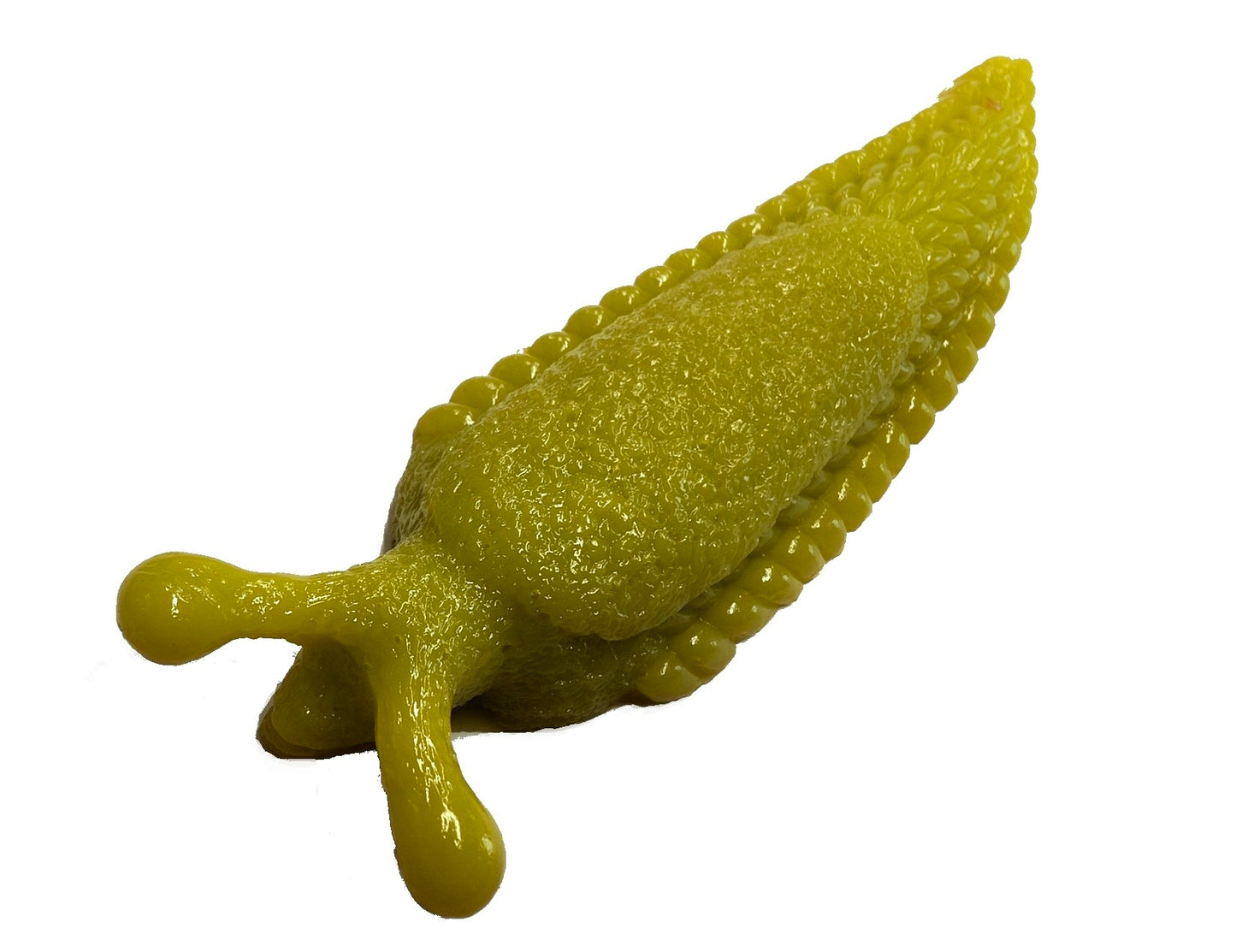 Slimy Slug