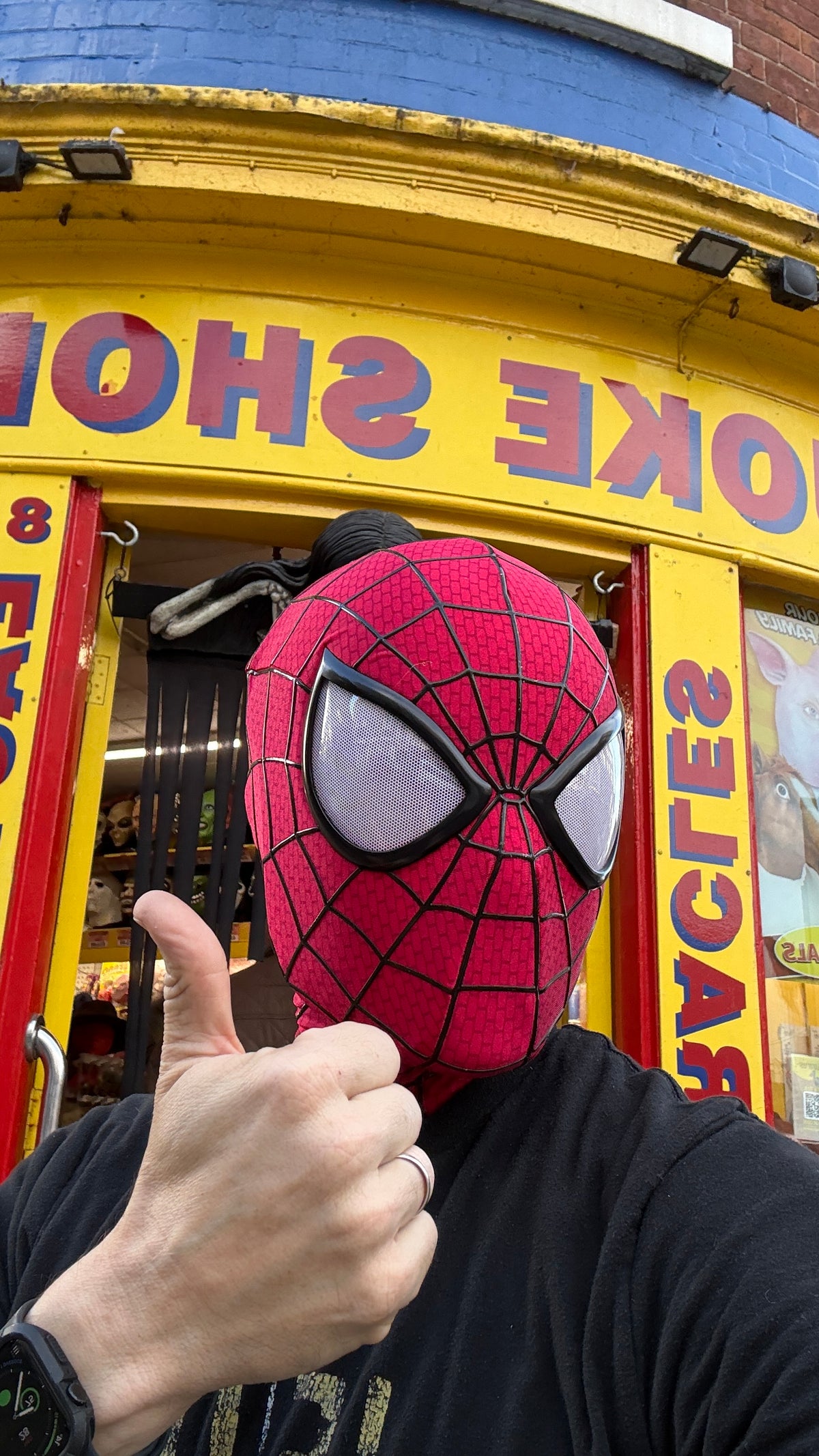 Spider-Man Mask Collector Edition