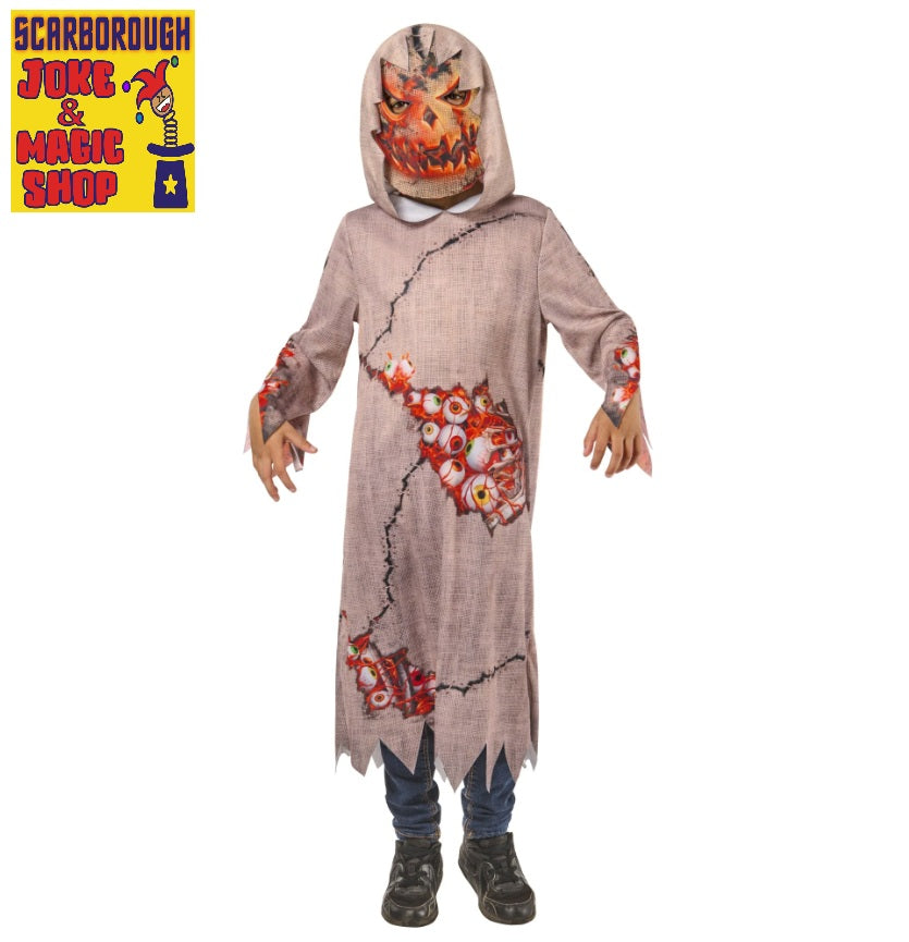 Pumpkin Goblin Scarecrow Costume ~ Kid's