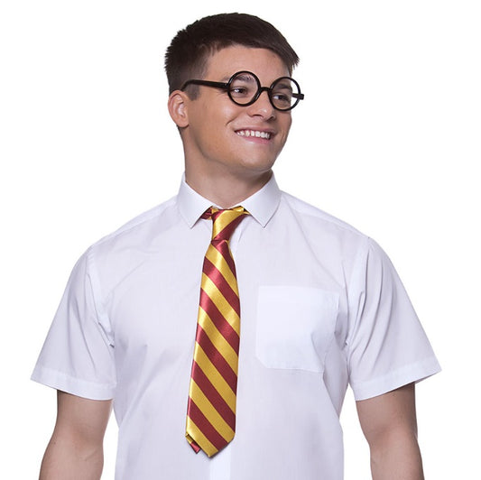 School Boy Wizard Set - Harry Potter Style Tie & Glasses