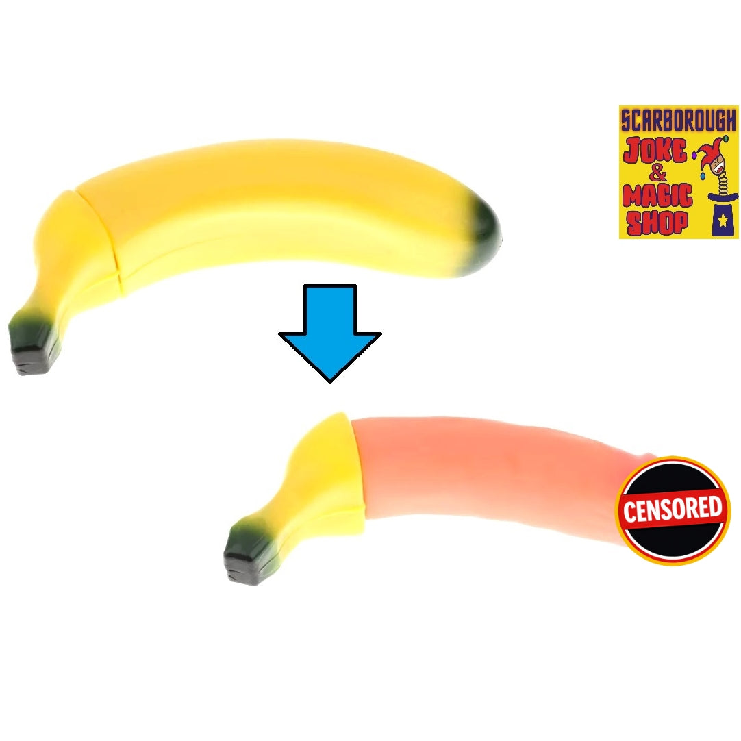 Surprise Willy Water Pistol