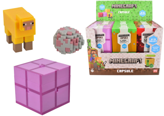 Minecraft Capsule