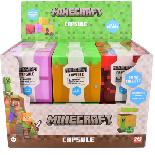 Minecraft Capsule