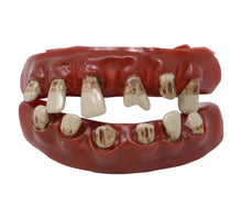 Terror Teeth - The Scarborough Joke Shop