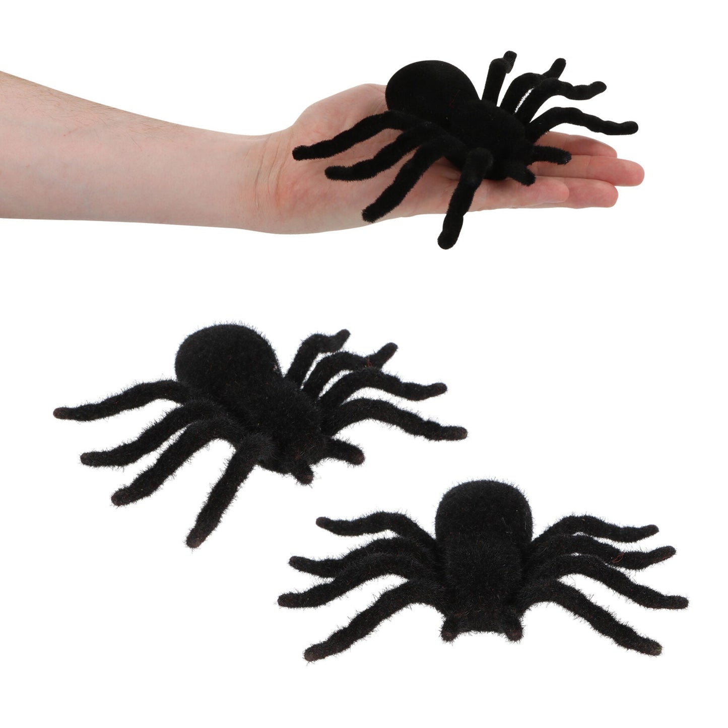 Furry Spider Tarantula