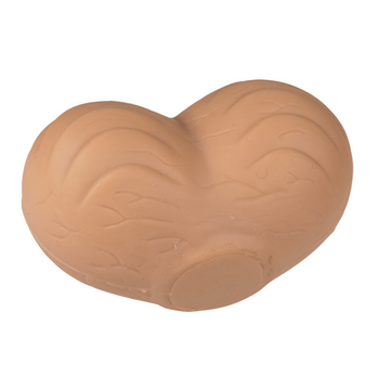 C&B Toys - Testicle, Penis and Scrotum toys for men C&B Toys - Testicle, Penis and Scrotum toys for men
