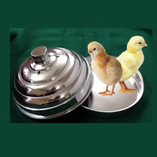 Chick Pan – Aluminium - The Scarborough Joke Shop