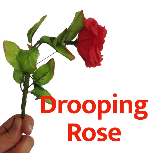 Rose tombante