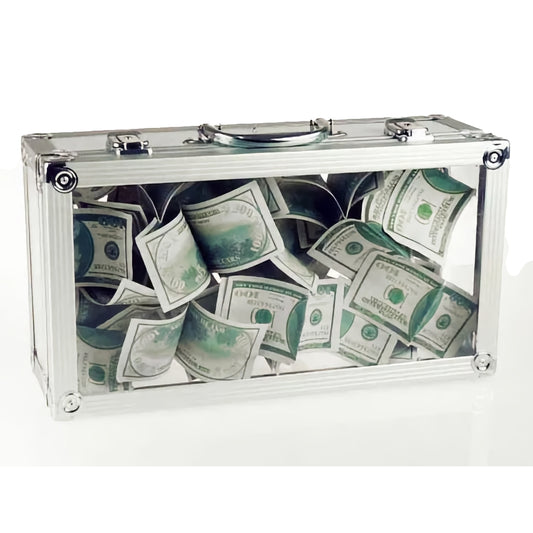 Glassy Briefcase