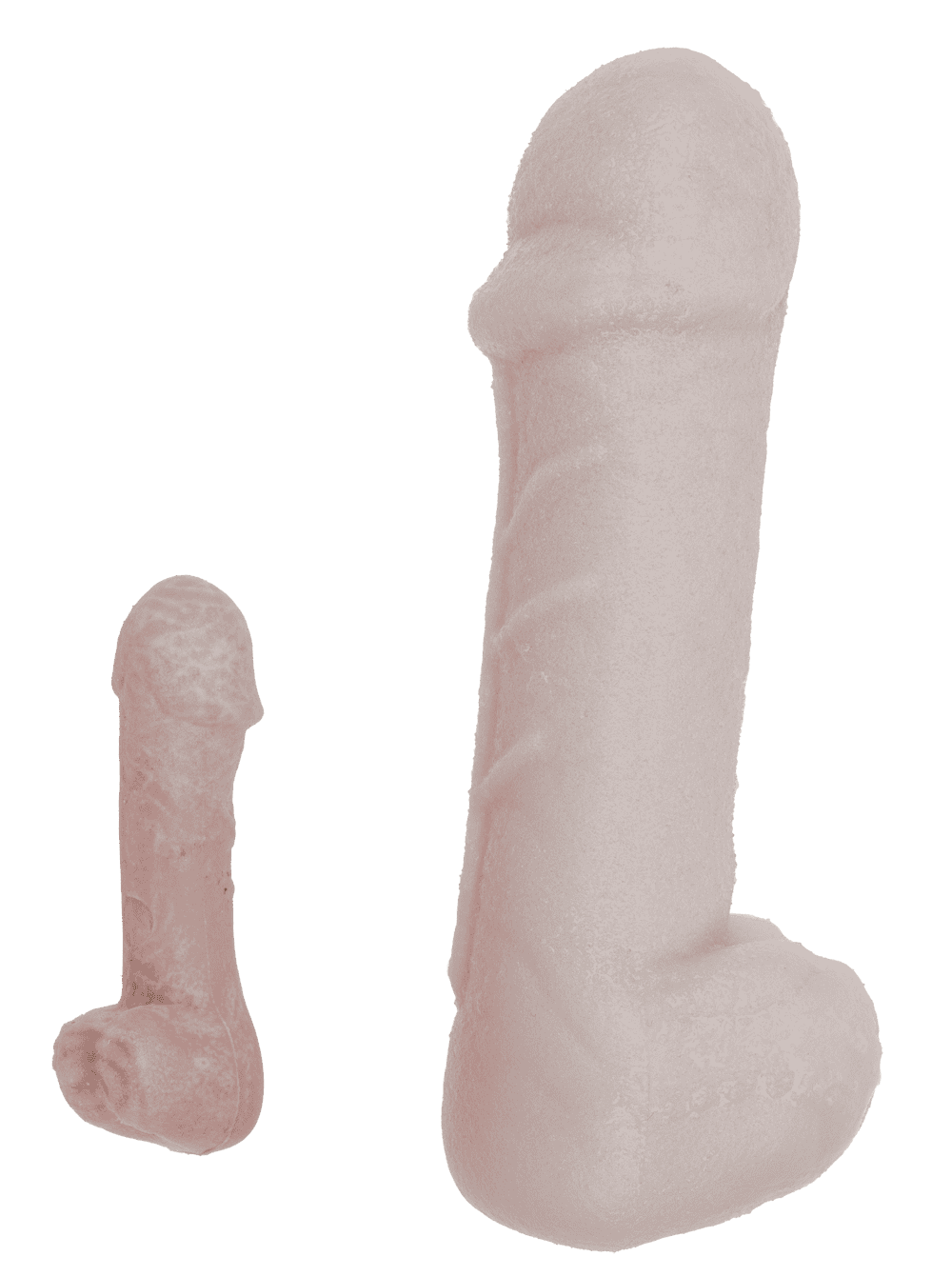Grow Your Own Willy - Or Buy One For a Friend! - The Scarborough Joke Shop