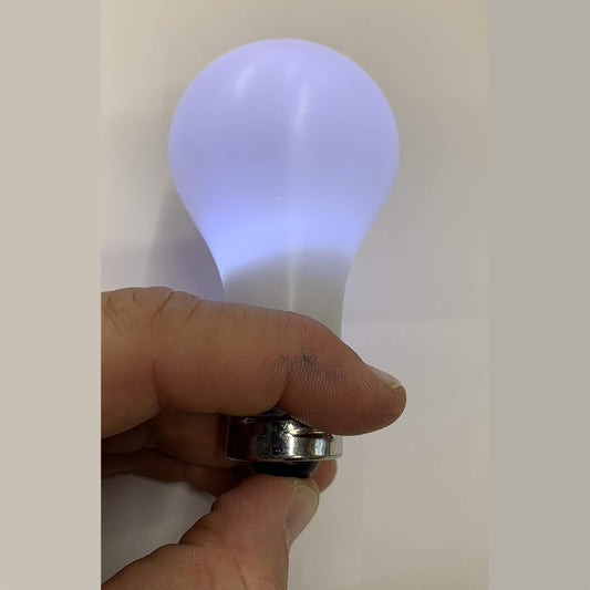 Magic Light Bulb ~ Comedy Lamp