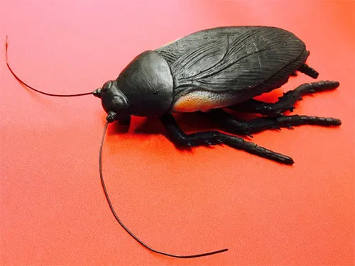 Jumbo Rubber Cockroach – The Scarborough Joke Shop