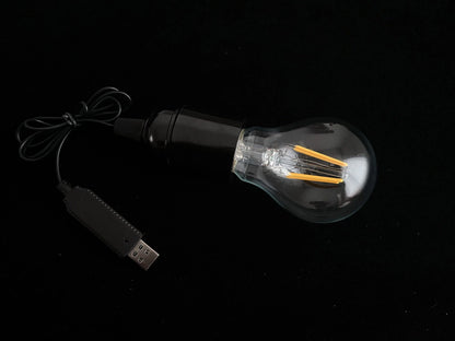 Magic Light Bulb ~ Light of God