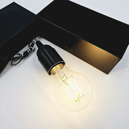 Magic Light Bulb ~ Light of God