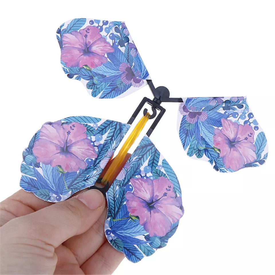 Flying Surprise Butterfly