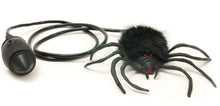 Hairy Scary Jumping Spider - The Scarborough Joke Shop