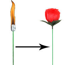 Torche à la rose