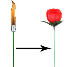 Torch To Rose - The Scarborough Joke Shop