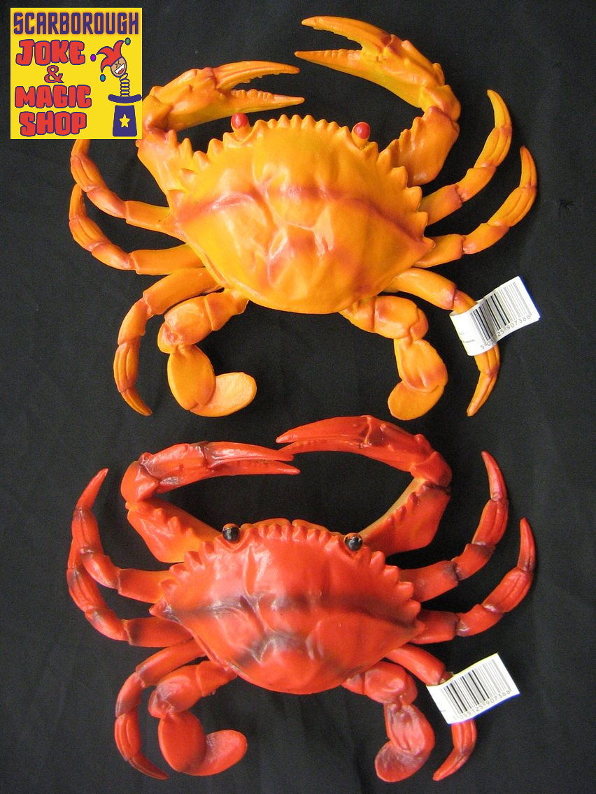 Crabe grandeur nature - Accessoire jouet réaliste - Couleurs assorties disponibles