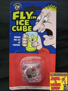 Fly in Ice Cube