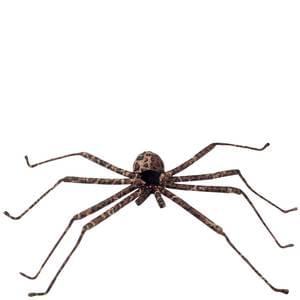 Décoration araignée géante - 25" marron