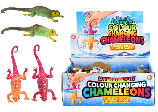 Colour Changing Lizard