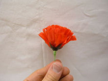 Match To Rose - The Scarborough Joke Shop