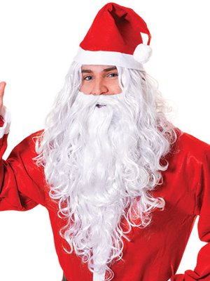 Father Christmas Santa Wizard Wig & Beard White