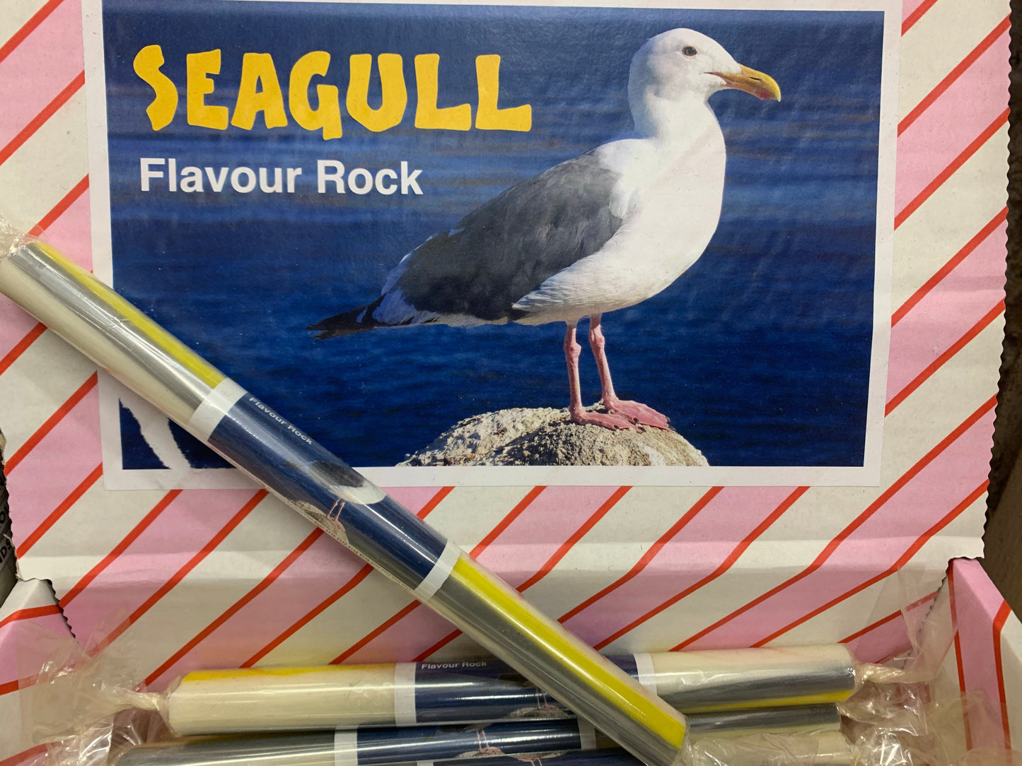 Seagull Flavour Rock