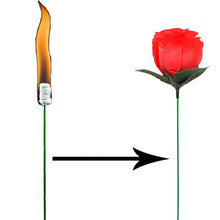Torch To Rose - The Scarborough Joke Shop